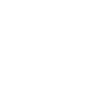 Weltio